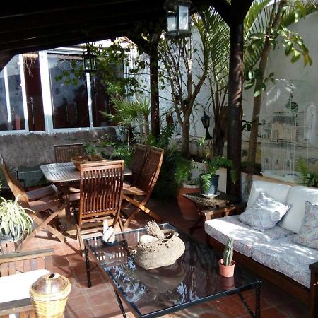 Loft Green Daire La Laguna  Dış mekan fotoğraf